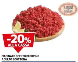 DPiù Macinato scelto di bovino adulto Scottona offerta