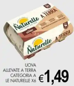 PrestoFresco Uova allevate a terra categoria A le naturelle offerta