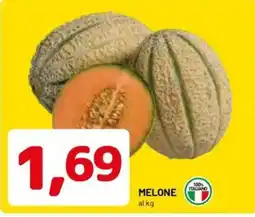 DPiù Melone offerta