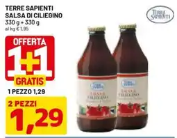DPiù Salsa di ciliegino Terre Sapienti offerta