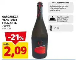 DPiù Garganega Veneto IGT Frizzante offerta