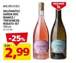 DPiù Solpiantez Garda DOC Bianco / Trevenezie Rosato IGT offerta