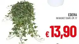 Galassia Edera offerta
