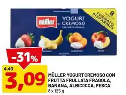 DPiù Müller Yogurt cremoso con frutta frullata offerta