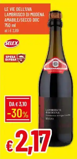 Galassia Le Vie dell'Uva Lambrusco di Modena Amabile/Secco DOC offerta