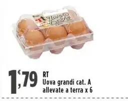Rossotono Carrefour Uova grandi cat. A allevate a terra offerta