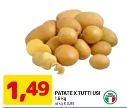 DPiù Patate x tutti usi offerta