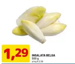 DPiù Insalata belga offerta