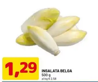 DPiù Insalata belga offerta