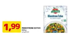 DPiù Minestrone Estivo Cuor di Scelta offerta