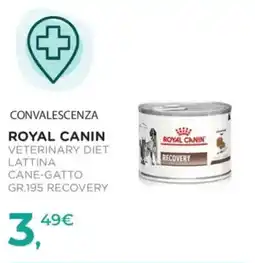 Arcaplanet Royal Canin Veterinary Diet Recovery offerta