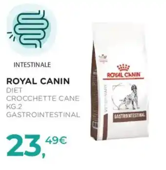 Arcaplanet Royal Canin Diet Crocchette Cane Gastrointestinale offerta