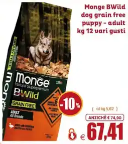 Elite Pet Monge BWild dog grain free offerta