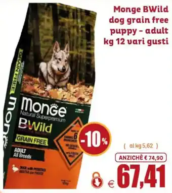 Monge BWild dog grain free