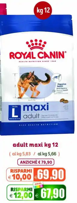 Royal Canin adult maxi