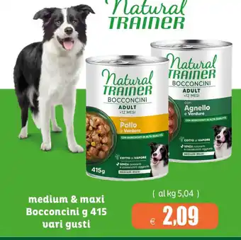 Natural Trainer Bocconcini Adult