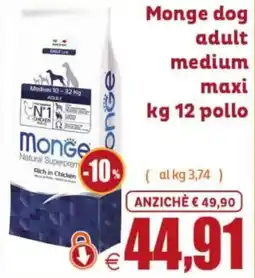 Elite Pet Monge dog adult medium maxi offerta