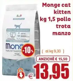 Elite Pet Monge cat kitten offerta