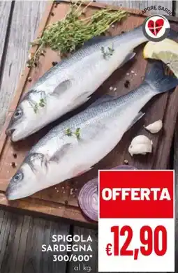 Pan Spigola Sardegna offerta