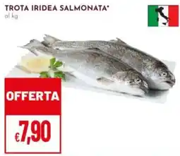 Pan Trota iridea salmonata offerta