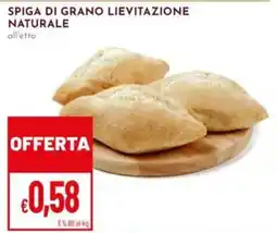 Pan Spiga di grano lievitazione naturale offerta