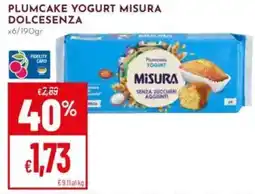 Pan Plumcake yogurt misura dolcesenza offerta