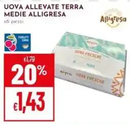 Pan Uova allevate terra medie Alligresa offerta