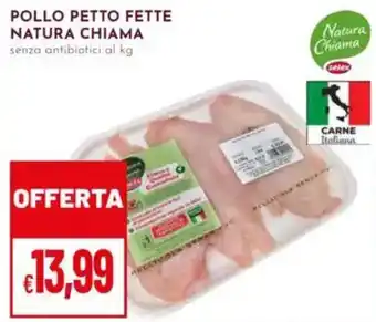 Pan Pollo petto fette Natura Chiama offerta