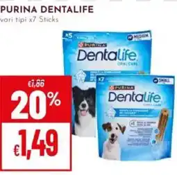 Pan Purina Dentalife offerta