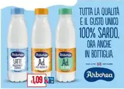 Pan Arborea Latte offerta