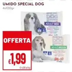 Pan Umido special dog offerta