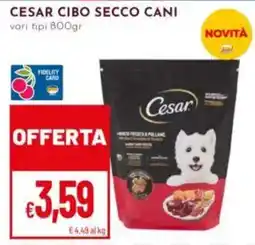 Pan Cesar cibo secco cani offerta