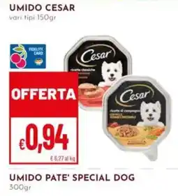 Pan Umido Cesar offerta