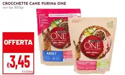 Pan Crocchette cane Purina One offerta