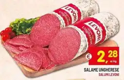 Centro Commerciale Discount Salame ungherese Levoni offerta