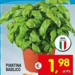 Centro Commerciale Discount Piantina basilico offerta