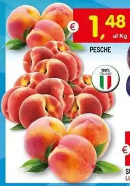 Centro Commerciale Discount Pesche offerta