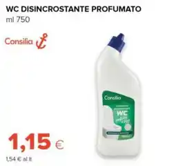 Tigre Amico WC disincrostante profumato Consilia offerta