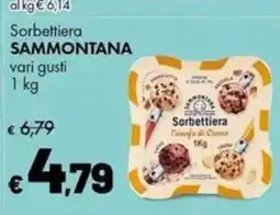 Supermercati Vinci Sorbettiera Sammontana offerta