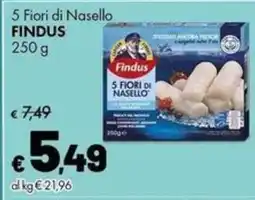 Supermercati Vinci 5 Fiori di Nasello Findus offerta