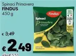 Supermercati Vinci Spinaci Primavera Findus offerta