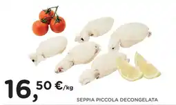 Poli Seppia piccola decongelata offerta