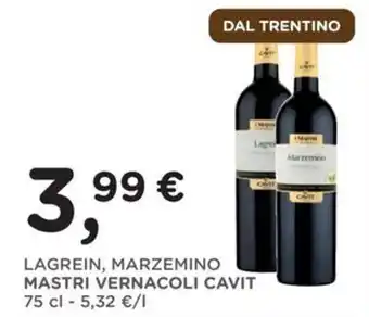 Lagrein, Marzemino Mastro Vernacoli Cavit