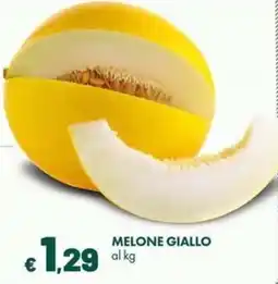 Supermercati Vinci Melone giallo offerta