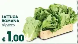 Supermercati Vinci Lattuga romana offerta