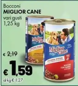 Supermercati Vinci Bocconi Miglior Cane offerta