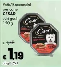 Supermercati Vinci Patè/Bocconcini per cane Cesar offerta