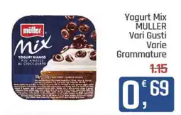 Ottimo Market Yogurt Mix MULLER offerta