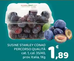 Conad Margherita Susine Stanley Conad offerta