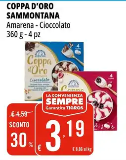 Tigros Coppa d'Oro Sammontana Amarena - Cioccolato offerta